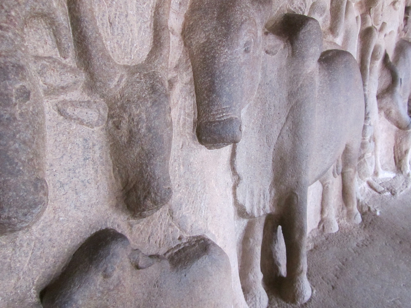 Sculpture of a cow at Krishna Cave Temple; the cow is sculpted mostly in bas-relief, however its left foreleg is sculpted in high-relief due to which a gap between the background and the left foreleg can be seen