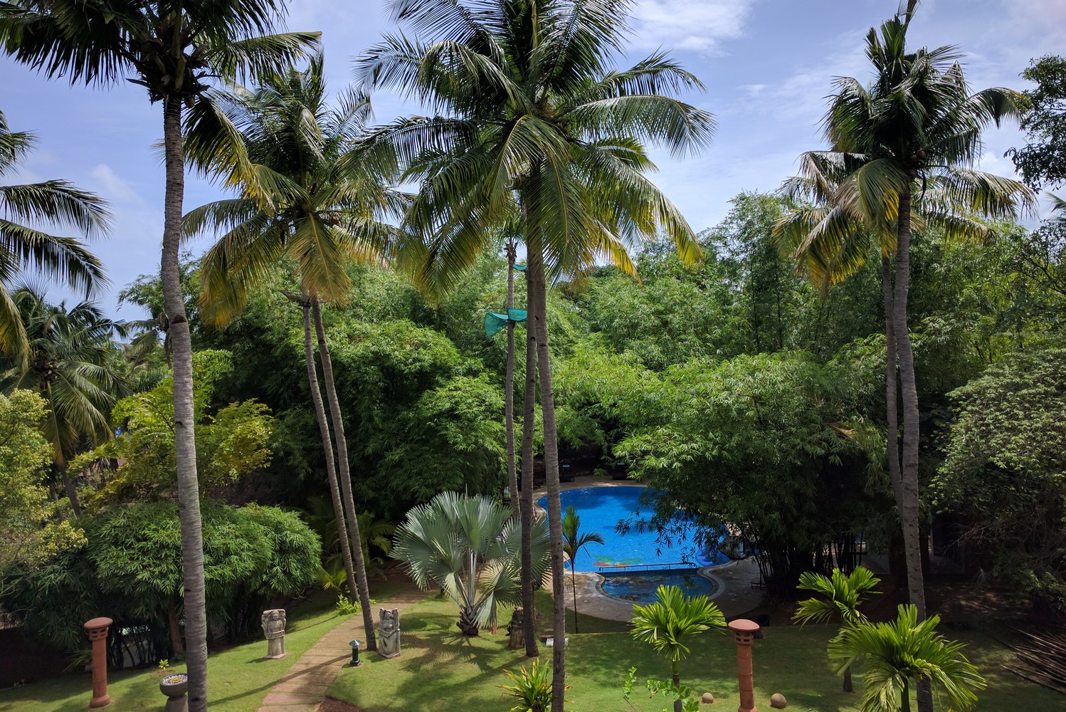 A resort with a swimming pool surrounded by coconut palm trees and other trees