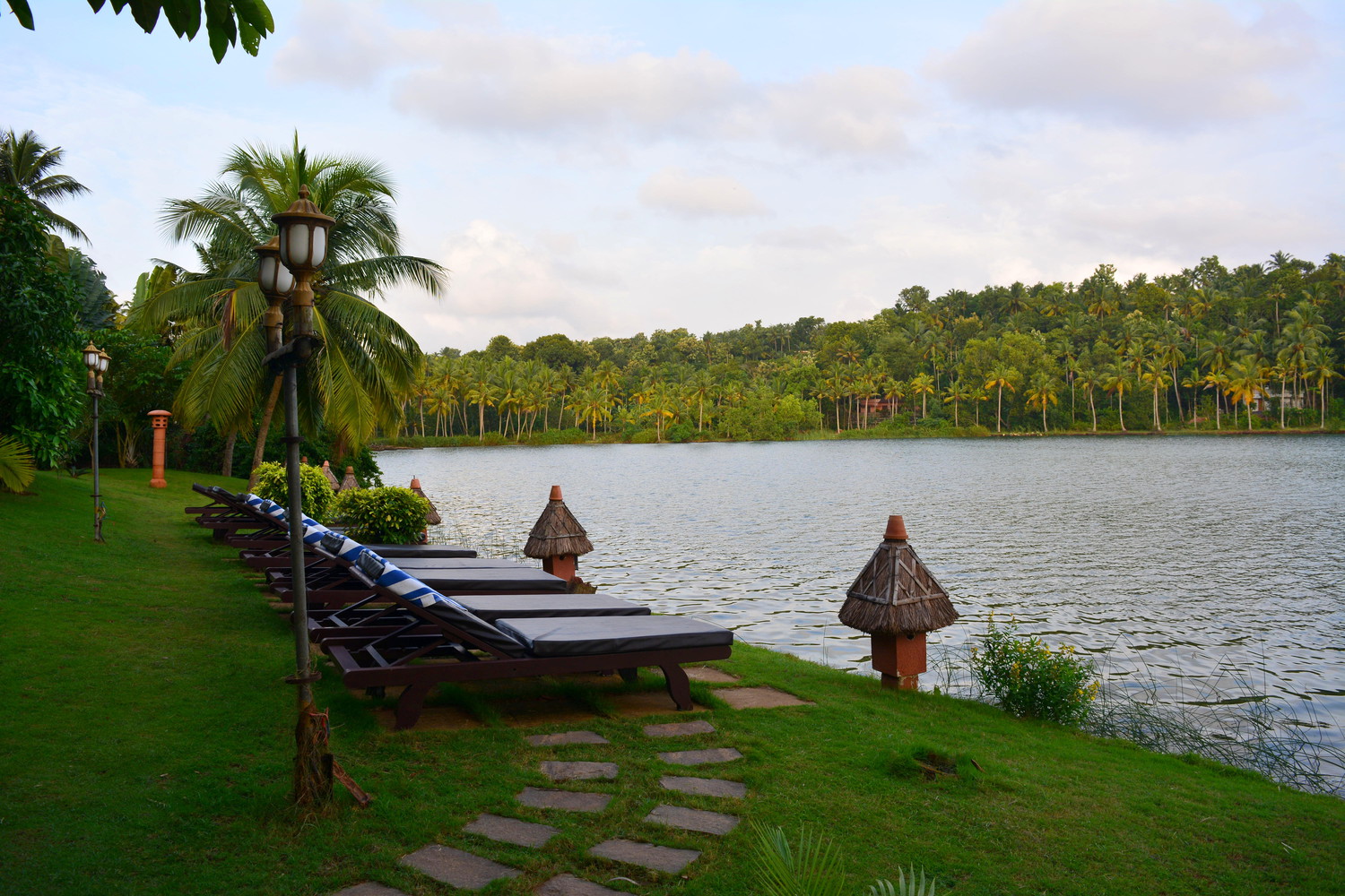 Deckchairs on a lawn beside a lake with coconut palm trees in the background