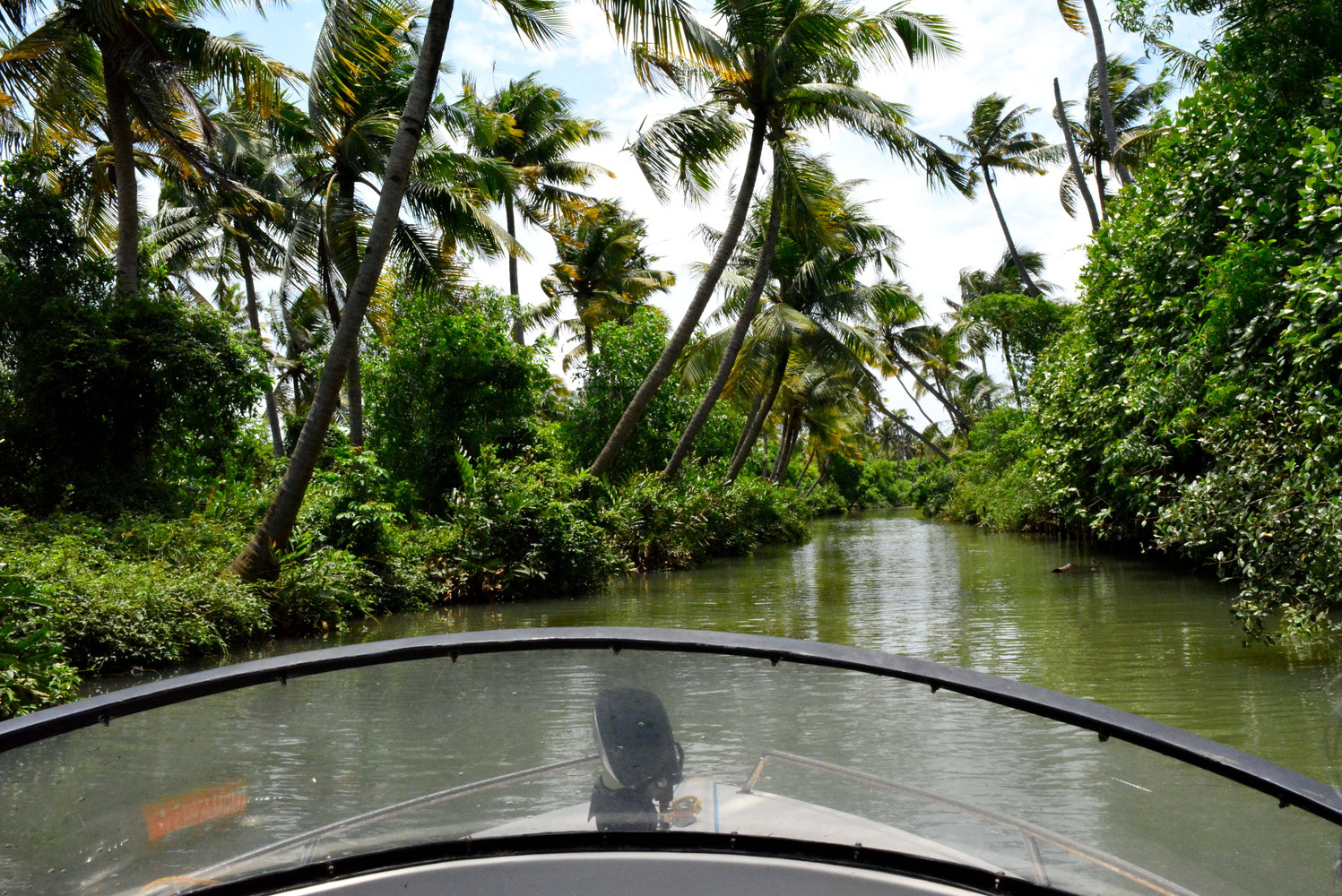 Backwaters with trees on both sides visible from a boat
